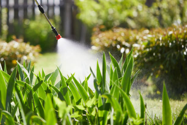 24/7 Emergency Mosquito Control experts in Lester Prairie, MN